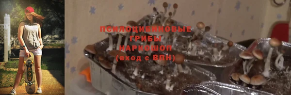 метамфетамин Алексеевка