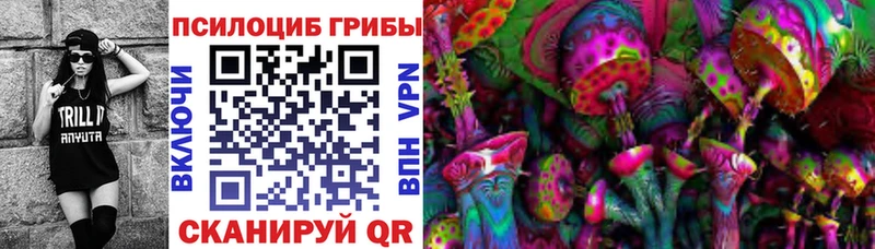 Галлюциногенные грибы Psilocybe  закладки  Куртамыш 