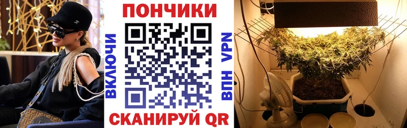 Бошки Шишки OG Kush кракен как войти Куртамыш